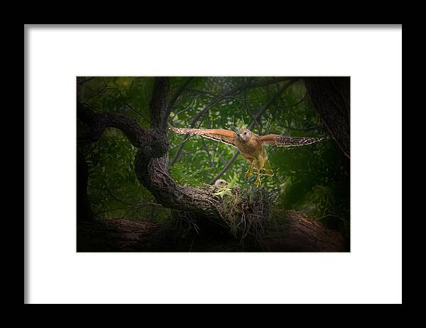 Nature Framed Print featuring the photograph My Mom Is Always Busy by Sheila Xu