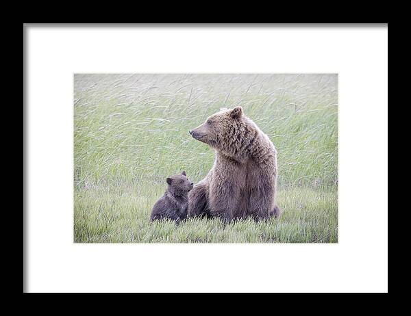 Coastal Brown Bear Framed Print featuring the photograph My Mom - My Best Friend by Renee Doyle