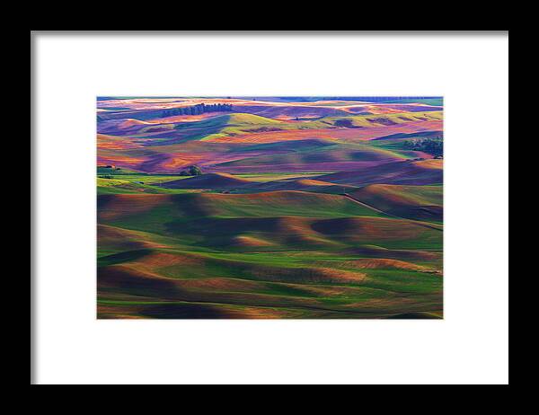 Palouse Framed Print featuring the photograph Mystical Fields by Emerita Wheeling