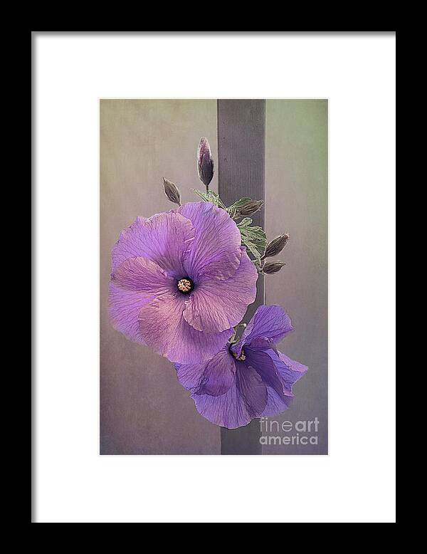 Native Framed Print featuring the photograph Native Hibiscus by Elaine Teague