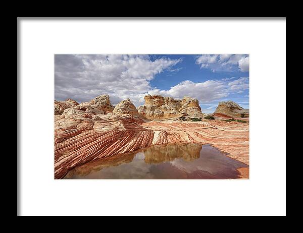 White Pocket Framed Print featuring the photograph Natural Architecture by Leda Robertson