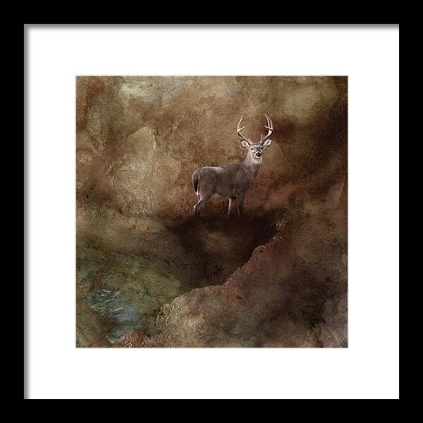 Deer Framed Print featuring the photograph Natural Wonder by Jai Johnson