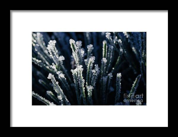 Ice Crystals Framed Print featuring the photograph Nature Abstract by Eva Lechner