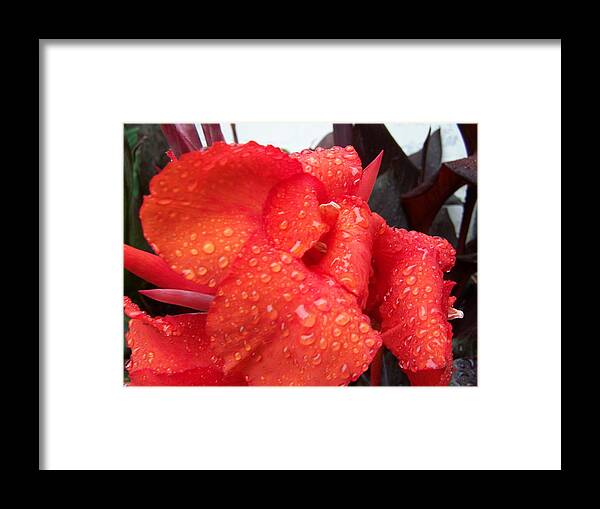 Nature Framed Print featuring the digital art Nature Canta 8 by Scott S Baker