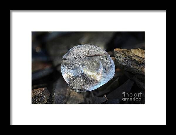 Crystal Framed Print featuring the photograph Nature's Crystal Ball by Karen Adams
