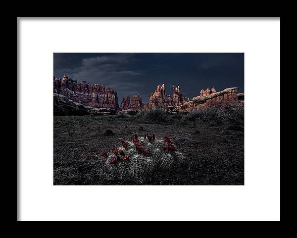 Needles Framed Print featuring the photograph Needle Canyon At Dawn by Chao Feng ??