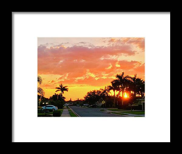 Sunset Framed Print featuring the photograph Neighborhood Watch #2 by Gary F Richards