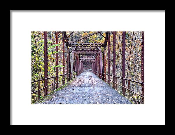 Obed Wild And Scenic River National Park Framed Print featuring the photograph Nemo Bridge Trail 1 by Phil Perkins