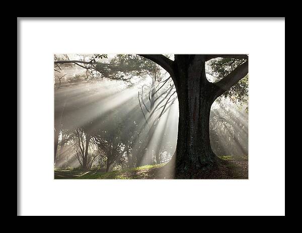 Fog Framed Print featuring the photograph Nuovo Inizio by Joe Leone