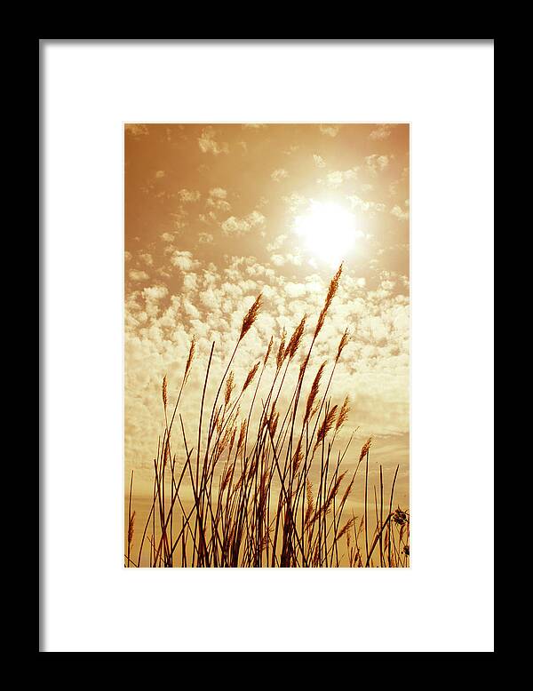 Outdoors Framed Print featuring the photograph New Gold Dream by All Images Taken By Keven Law Of London, England.