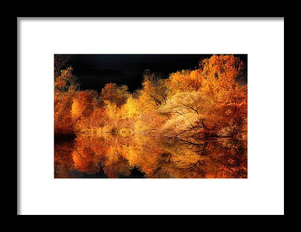 Autumn Framed Print featuring the photograph New Look by Philippe Sainte-Laudy