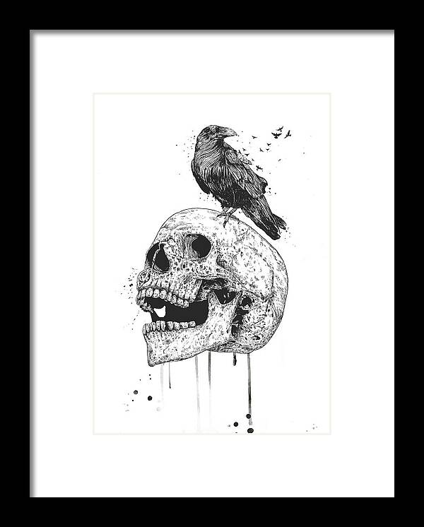 Skull Framed Print featuring the drawing New skull by Balazs Solti