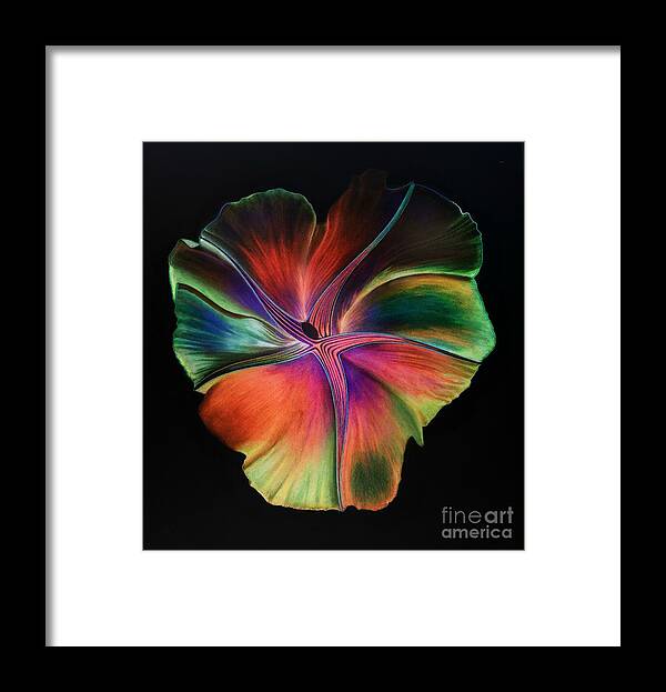 Flower Framed Print featuring the digital art Night Heat by David Neace