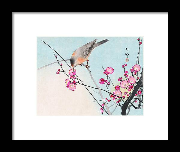 Koson Framed Print featuring the painting Nightingale by Koson