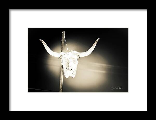 Cow Skull Photo Framed Print featuring the photograph No Parking by Sandra Dalton