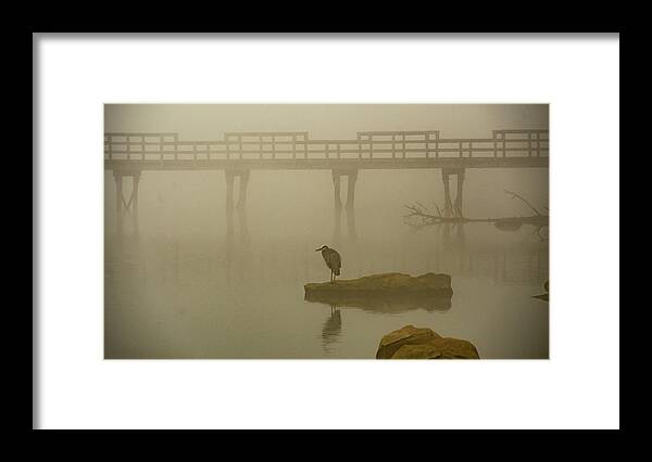 Foggy Framed Print featuring the photograph November #1 by Marcy Wielfaert