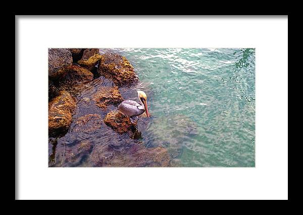 A&b Framed Print featuring the photograph Ocean Watcher by JAMART Photography