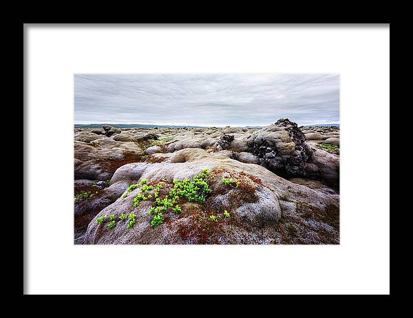 Landscape Framed Print featuring the photograph Odd Iceland Landscape With Lava Field by Ivan Kmit