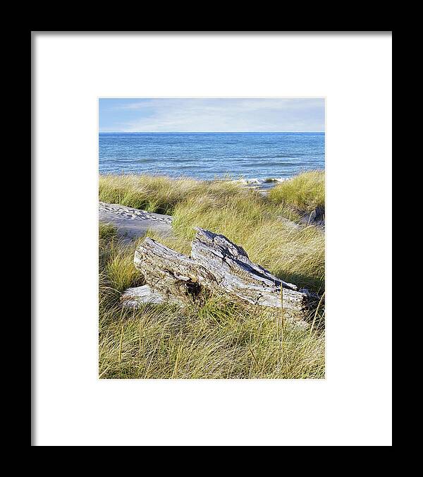 Jean Klock Framed Print featuring the photograph Ode to Jean by Kathi Mirto