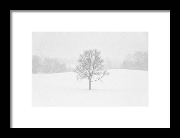 Hartville Framed Print featuring the photograph Ohio Winter Whiteout 1 by Matt Hammerstein