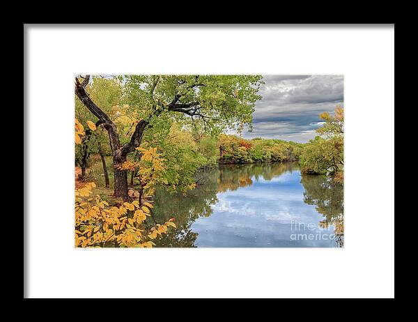 Forest Framed Print featuring the photograph Oklahoma City's Lake Hefner surrounded by trees in fall color by Richard Smith
