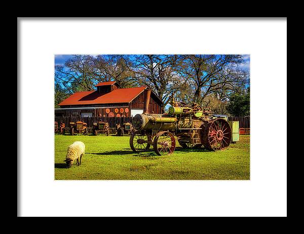 Tractor Framed Print featuring the photograph Old Steam tractor And Sheep by Garry Gay