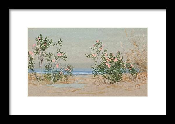 Beach Framed Print featuring the painting Oleanders by Lilias Trotter