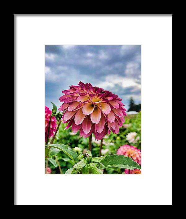 Sky Framed Print featuring the photograph Ominous Sky by Brian Eberly
