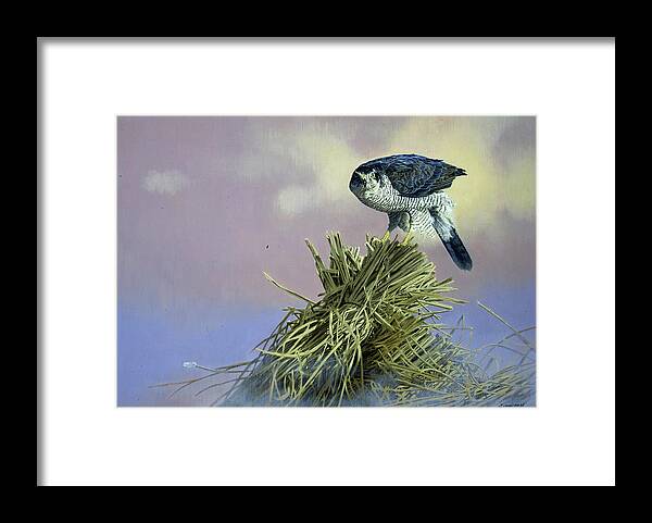 Hawk Framed Print featuring the painting On Guard by Joh Naito
