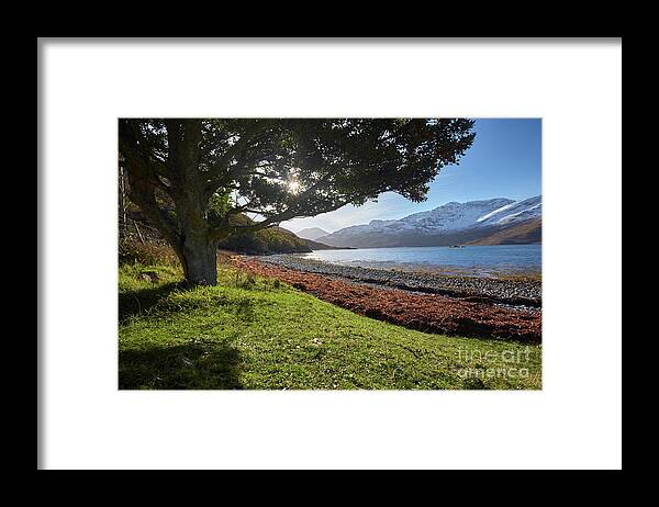 Scotland Framed Print featuring the photograph On the shore of Loch Hourn, Scotland. by David Bleeker
