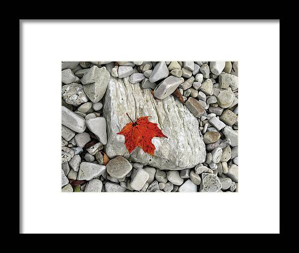 Fall Framed Print featuring the photograph One Leaf Many Rocks by David T Wilkinson