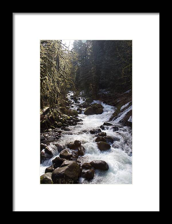 Oneonta Creek Framed Print featuring the photograph Oneonta Creek by Dylan Punke