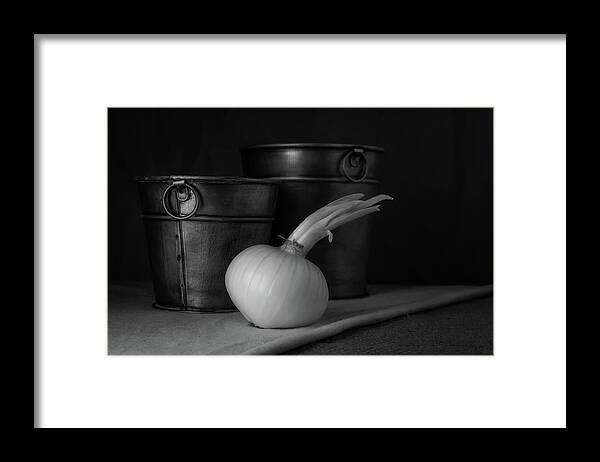 Onion Framed Print featuring the photograph Onion in Black and White by Tom Mc Nemar