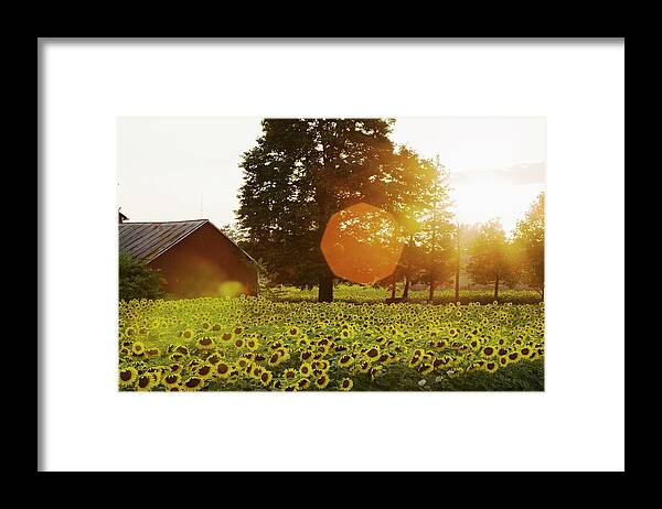 Scenics Framed Print featuring the photograph Ontario, Canada by Design Pics / Michael Interisano