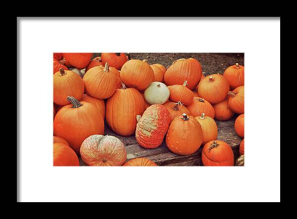 All Framed Print featuring the photograph Orange Defined by JAMART Photography
