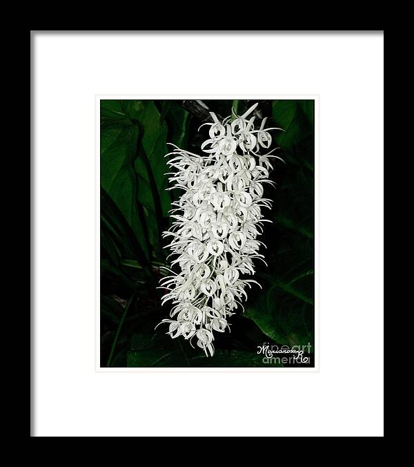 Flora Framed Print featuring the photograph Orchid Bouquet by Mariarosa Rockefeller