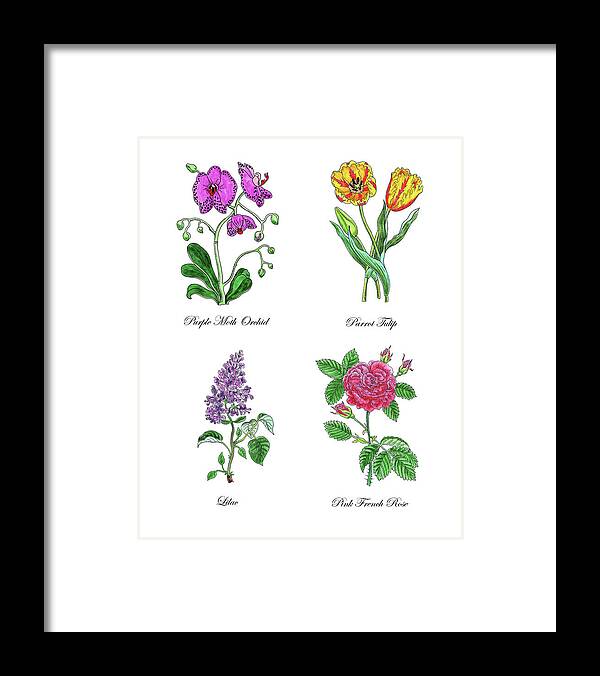 Orchid Framed Print featuring the painting Orchid Tulip Lilac Rose Botanical Watercolor  by Irina Sztukowski