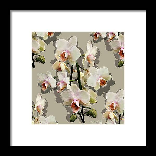 Glory Framed Print featuring the mixed media Orchids - on cream by BFA Prints