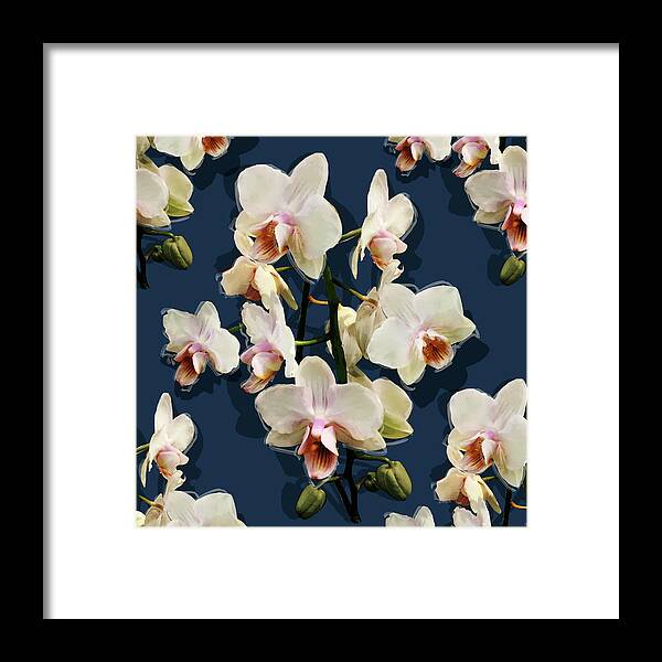 Glory Framed Print featuring the mixed media Orchids - on dark blue by BFA Prints