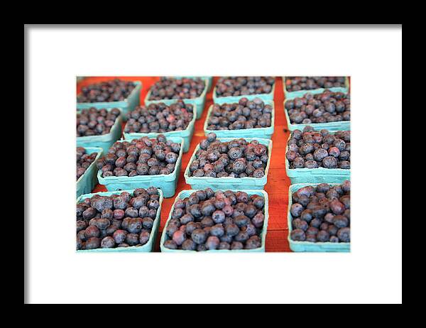 Fruit Carton Framed Print featuring the photograph Organic Blueberries by Wendy Connett