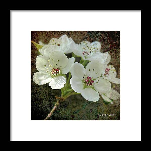 Oriental Pear Blossom Framed Print featuring the digital art Oriental Pear Blossum by Bonnie Willis