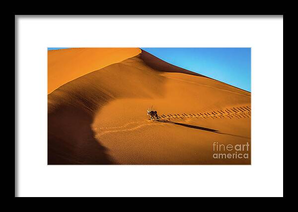 Dune Framed Print featuring the photograph Oryx crossing big daddy dune, Sossusvlei, Namibia by Lyl Dil Creations
