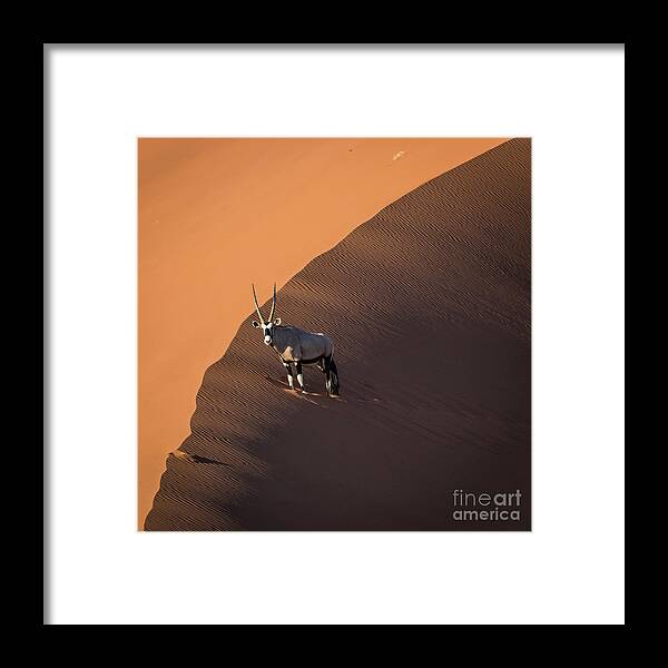 Gemsbok Framed Print featuring the photograph Oryx on the edge, Namibia by Lyl Dil Creations