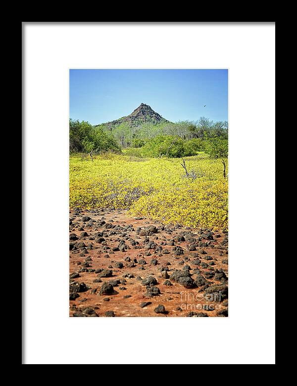 Mountain Framed Print featuring the photograph Other World by Becqi Sherman