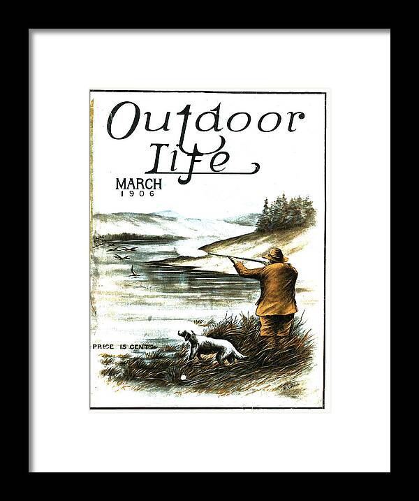 Hunting Dogs Framed Print featuring the painting Outdoor Life Magazine Cover March 1906 by Outdoor Life