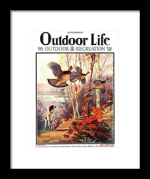 Hunting Dogs Framed Print featuring the painting Outdoor Life Magazine Cover September 1928 by Outdoor Life