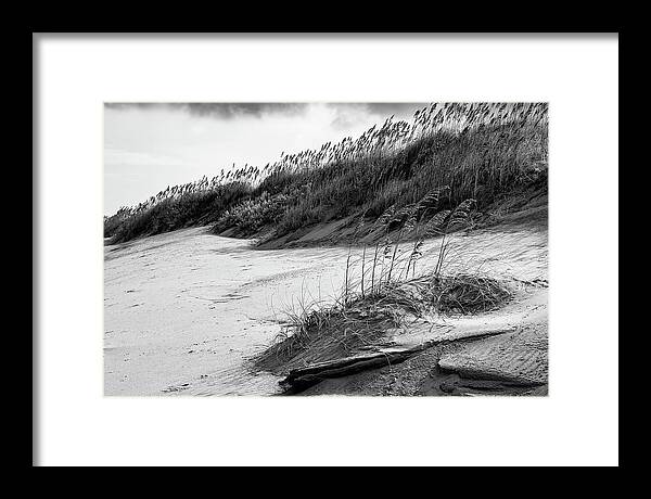 North Carolina Framed Print featuring the photograph Outer Banks Sea Oats and Dunes by Dan Carmichael