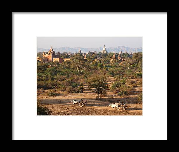 Working Animal Framed Print featuring the photograph Overview Of Bagan by Stefan Hajdu