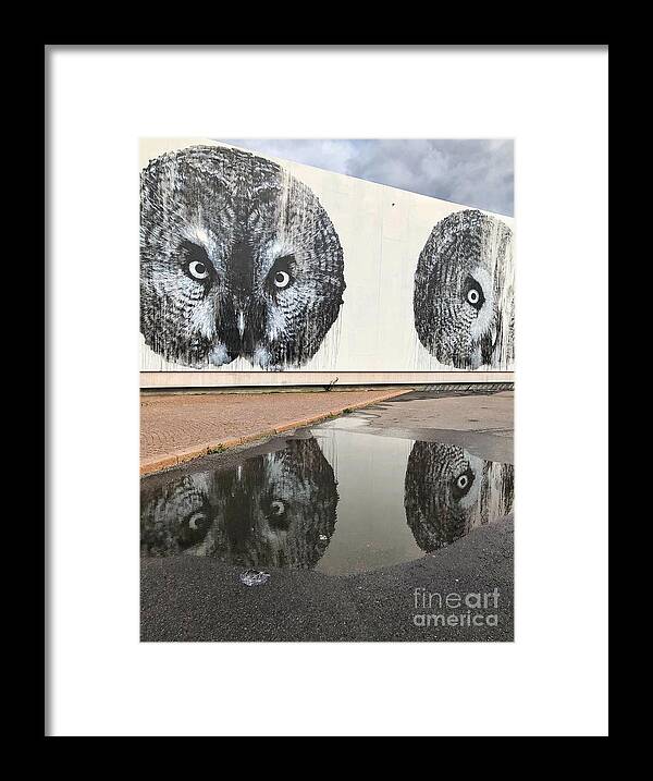 Helsinki Framed Print featuring the photograph Owl Eyes by Diana Rajala