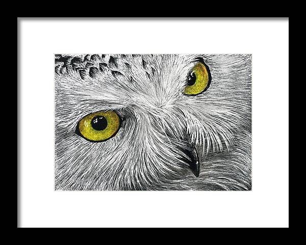Drawing Framed Print featuring the drawing Owl Face by William Underwood